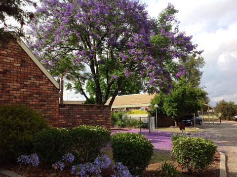 Belvoir Village Motel & Apartments Wodonga - Accommodation Mermaid Beach 0