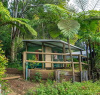 Binna Burra Rainforest Campsite - Accommodation Mermaid Beach