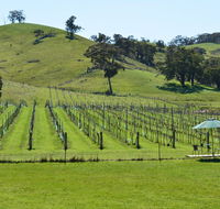 Blue House at Mountainside Wines - Accommodation Mermaid Beach