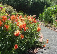 Boat Harbour Garden Cottages - Accommodation Mermaid Beach