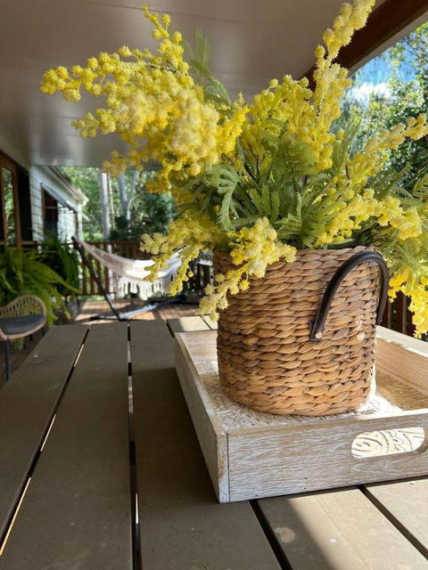 Wattle Bush Retreat - Accommodation Mermaid Beach 1