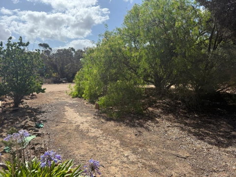 Woody House - Accommodation Mermaid Beach 2