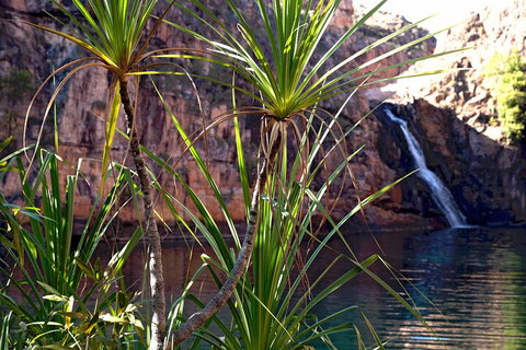 3-Day Kakadu 4WD Camping Safari From Darwin - Accommodation Mermaid Beach 2