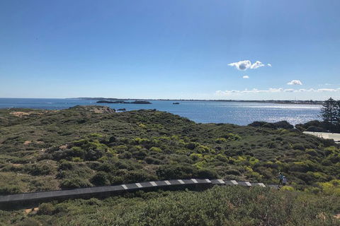 Penguin Island And Fremantle - Canoe, Chocolate & Coffee - Accommodation Mermaid Beach 0