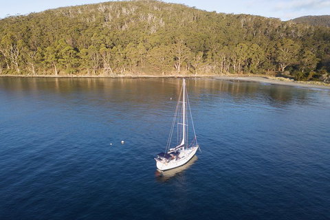 Twilight Sail Bruny Island - Accommodation Mermaid Beach 3