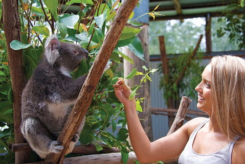 Private Guided Tour: Blue Mountains Tour From Sydney - Accommodation Mermaid Beach 5