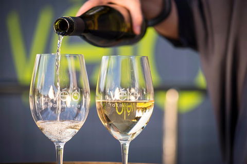 Full Day Tamar Valley Wine Tour - Accommodation Mermaid Beach 2