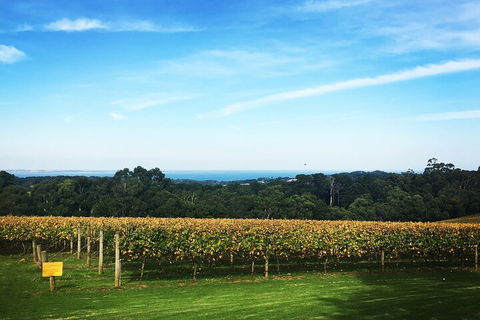 Mornington Peninsula Tour Inc Chairlift,beach Boxes,lunch,choc Tasting And More - Accommodation Mermaid Beach 2