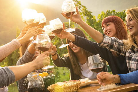 Mornington Peninsula Tour Inc Chairlift,beach Boxes,lunch,choc Tasting And More - Accommodation Mermaid Beach 3