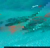 Private Tangalooma Wrecks Tour - Accommodation Mermaid Beach