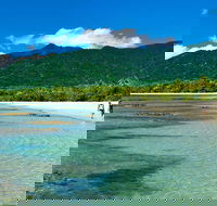 5-Day Best of Cairns with Daintree Kuranda and Great Barrier Reef - Accommodation Mermaid Beach