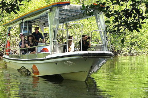 3-Day Best Of Cairns Combo: The Daintree Rainforest, Great Barrier Reef, And Kuranda - Accommodation Mermaid Beach 4