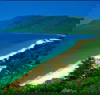 Cairns Reef and Rainforest Combo Daintree Rainforest and the Great Barrier Reef - Accommodation Mermaid Beach