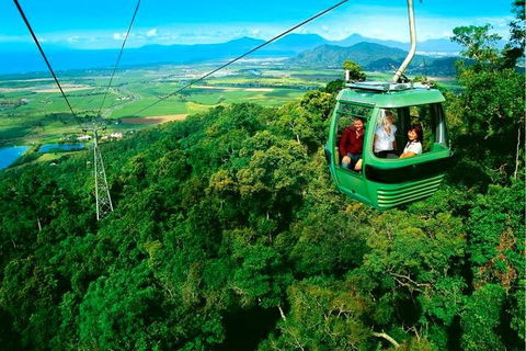 4-Day Cairns Ultimate Combo: Daintree Rainforest, Reef, Kuranda & Paronella Park - Accommodation Mermaid Beach 1