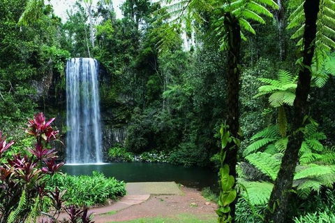 Paronella Park And Millaa Millaa Falls Full-day Tour From Cairns - Accommodation Mermaid Beach 3
