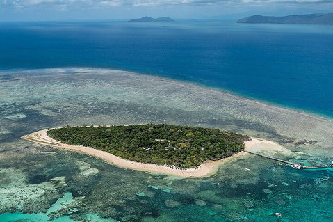 4-Day Cairns With Great Barrier Reef And Daintree Rainforest - Accommodation Mermaid Beach 0