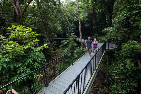 4-Day Cairns With Great Barrier Reef And Daintree Rainforest - Accommodation Mermaid Beach 1
