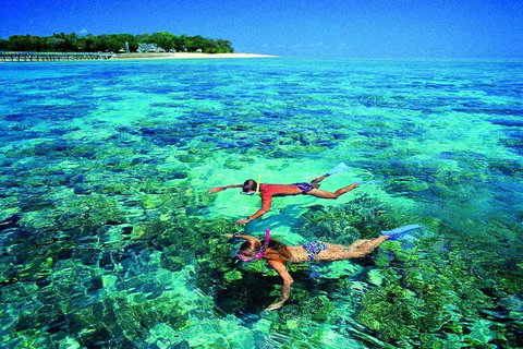 4-Day Cairns With Great Barrier Reef And Daintree Rainforest - Accommodation Mermaid Beach 2