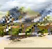 1 Day Exclusively Private Tour Of Phillip Island  The Penguin Parade - Accommodation Mermaid Beach