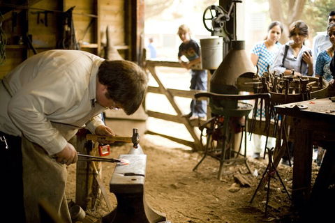 1 Day Exclusively Private Tour Of Phillip Island & The Penguin Parade - Accommodation Mermaid Beach 4