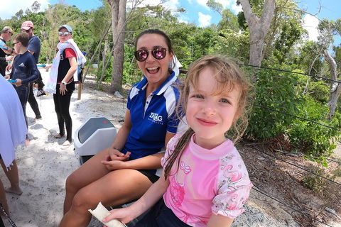 Whitehaven Beach Day Tour With Snorkel In Whitsundays Island - Accommodation Mermaid Beach 1