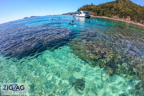 Whitehaven Beach Day Tour With Snorkel In Whitsundays Island - Accommodation Mermaid Beach 5