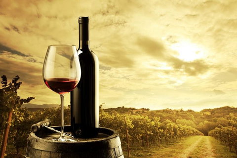 McLaren Vale Luxury Wine Tour - Accommodation Mermaid Beach 0
