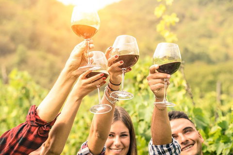 McLaren Vale Luxury Wine Tour - Accommodation Mermaid Beach 2
