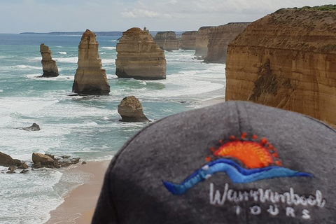 12 Apostles Tour From Warrnambool - Accommodation Mermaid Beach 4