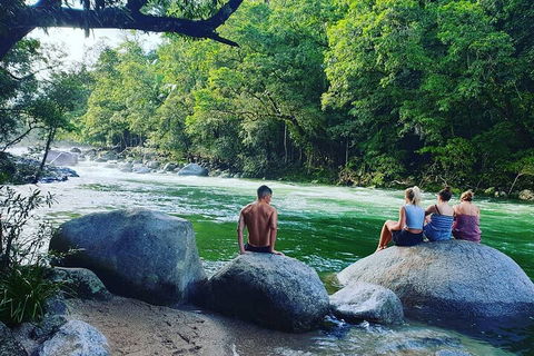 Full Day Tour In The Daintree - Accommodation Mermaid Beach 3