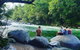 Afternoon Half-Day Daintree Rainforest And River Tour - thumb 0
