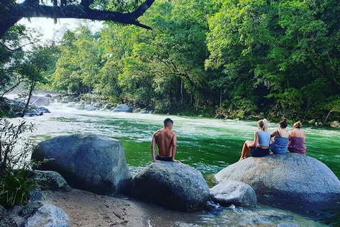 Afternoon Half-Day Daintree Rainforest And River Tour - Accommodation Mermaid Beach 0