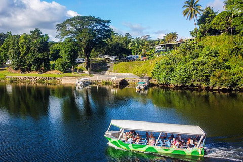 Afternoon Half-Day Daintree Rainforest And River Tour - Accommodation Mermaid Beach 1