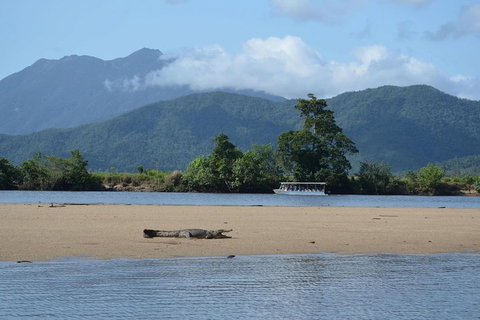 Afternoon Half-Day Daintree Rainforest And River Tour - Accommodation Mermaid Beach 2