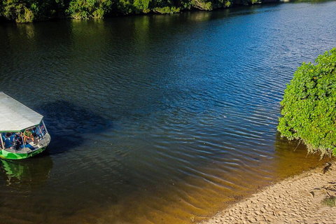 Afternoon Half-Day Daintree Rainforest And River Tour - Accommodation Mermaid Beach 3