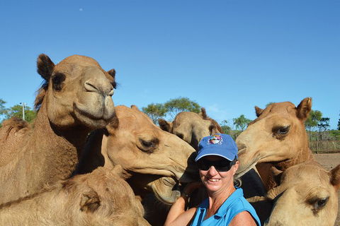 Broome Pre-sunset Camel Tour 30 Minutes - Accommodation Mermaid Beach 0