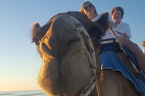Broome Pre-sunset Camel Tour 30 Minutes - Accommodation Mermaid Beach 1