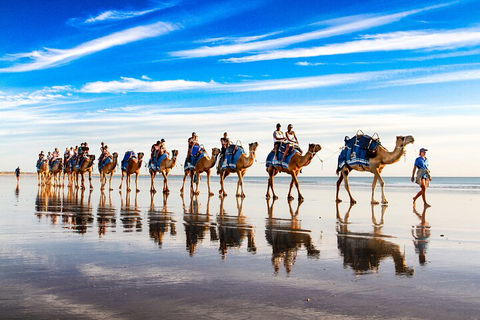 Broome Pre-sunset Camel Tour 30 Minutes - Accommodation Mermaid Beach 2