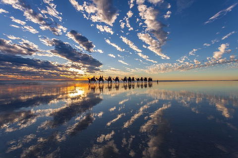 Broome Pre-sunset Camel Tour 30 Minutes - Accommodation Mermaid Beach 4