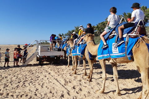 Broome Pre-sunset Camel Tour 30 Minutes - Accommodation Mermaid Beach 5