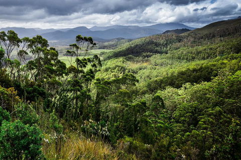 3-Day Tour To The Falls, Mountains, Lake & More Of West Coast Tasmania - Accommodation Mermaid Beach 0