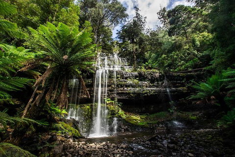 3-Day Tour To The Falls, Mountains, Lake & More Of West Coast Tasmania - Accommodation Mermaid Beach 4