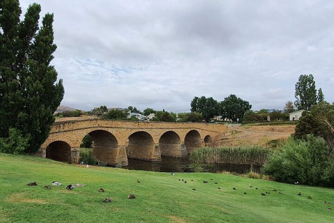 Port Arthur, Richmond And Tasman Peninsula Day Trip From Hobart - Accommodation Mermaid Beach 3