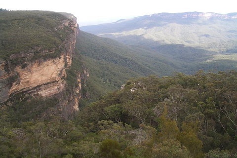 Full-Day Private Blue Mountains Tour With River Cruise - Accommodation Mermaid Beach 3
