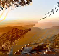 O'Reilly's  Lamington National Park incl. Alpaca Farm  Vineyard - Accommodation Mermaid Beach