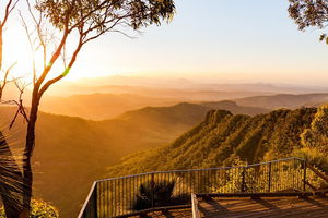 O'Reilly's & Lamington National Park incl. Alpaca Farm + Vineyard