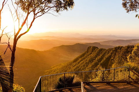 O'Reilly's & Lamington National Park Incl. Alpaca Farm + Vineyard - Accommodation Mermaid Beach 0