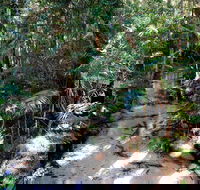 Fraser Island 4WD Tour from Rainbow Beach - Accommodation Mermaid Beach