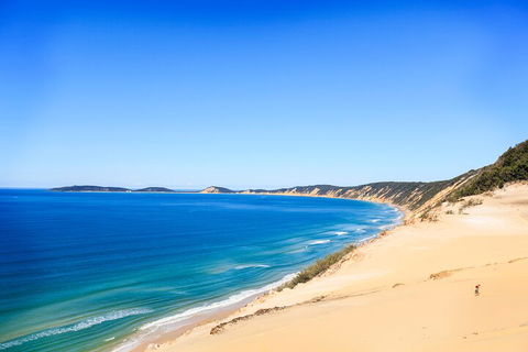 Kayak With Dolphins And 4WD Great Beach Drive Day Trip From Noosa - Accommodation Mermaid Beach 0