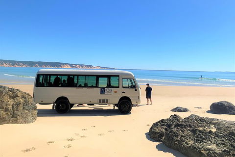 Kayak With Dolphins And 4WD Great Beach Drive Day Trip From Noosa - Accommodation Mermaid Beach 4
